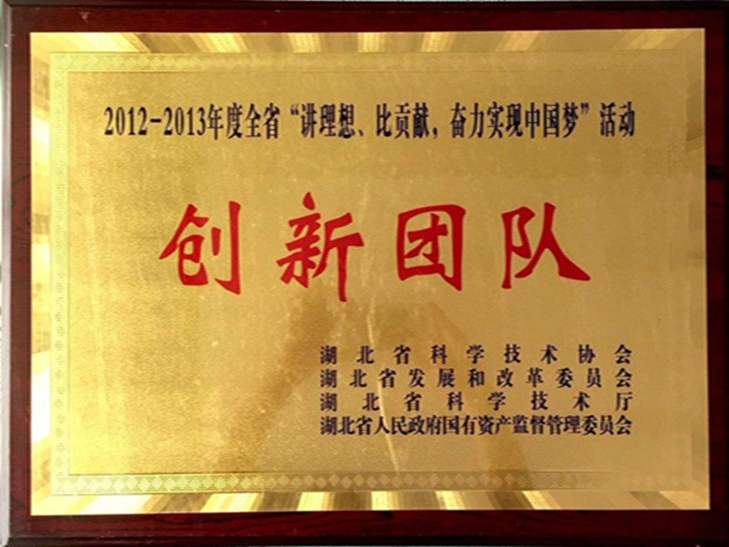 湖北省2012-2013年度“講理想，比貢獻(xiàn)”創(chuàng)新團(tuán)隊(duì).jpg